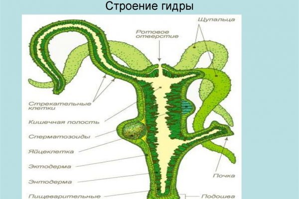 Кракен магазин тор