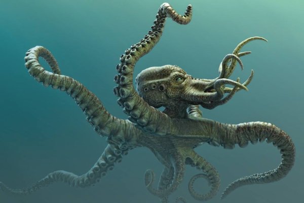 Kraken onion link