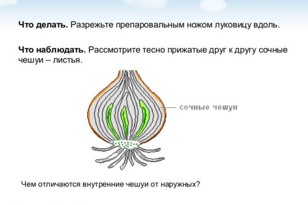 Как зайти на кракен в тор браузере