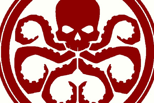 Kraken19at