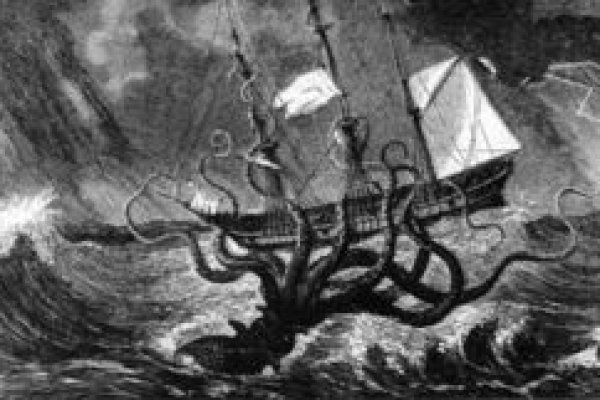 Ссылка на kraken at