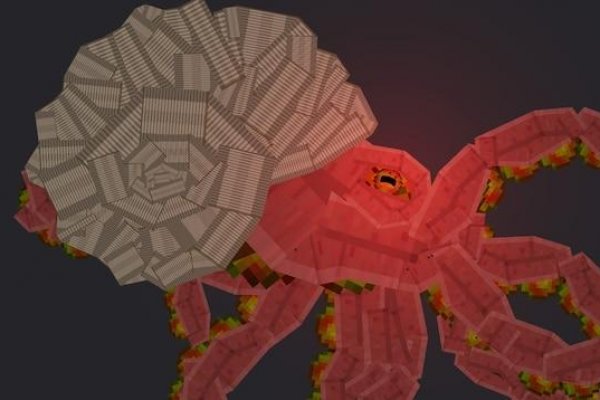 Kraken com зеркало