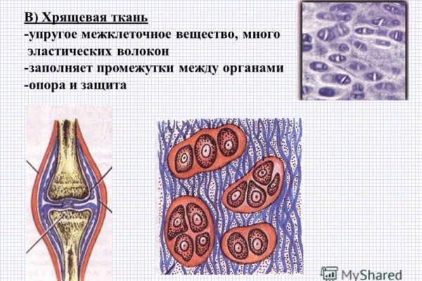 Кракен маркет даркнет только через тор